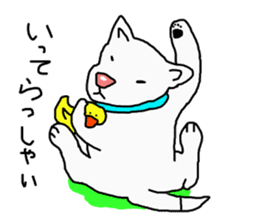 I just a white dog sticker #11922674