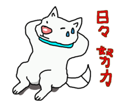 I just a white dog sticker #11922679