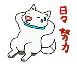 I just a white dog sticker #11922679