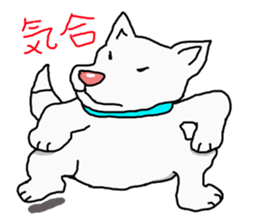I just a white dog sticker #11922680