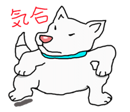 I just a white dog sticker #11922680