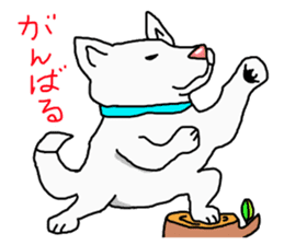 I just a white dog sticker #11922688