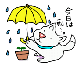 I just a white dog sticker #11922696