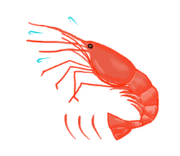 Vegetarian & Allergies sticker #11923250