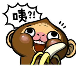 BonBon Raccoon life 3 sticker #11923910