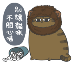 Daily what'z Cats sticker #11924137