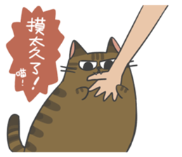 Daily what'z Cats sticker #11924145