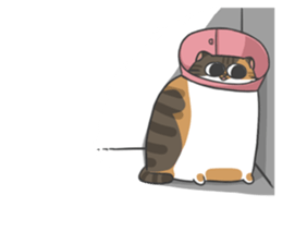 Daily what'z Cats sticker #11924165