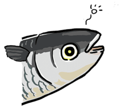 tasty fishes Sticker sticker #11925796