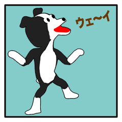 Border Collie Episode 1