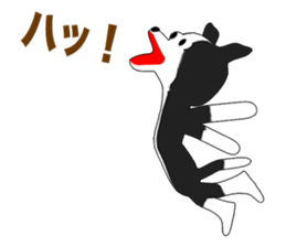 Border Collie Episode 1 sticker #11925827