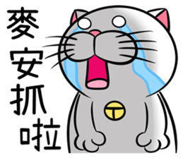 Stupid Fat White Cat 3 sticker #11926639