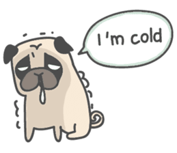 A Little Pug !!! sticker #11928741