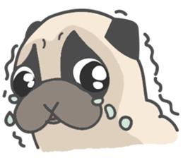 A Little Pug !!! sticker #11928742