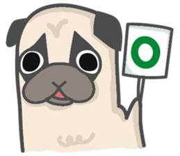 A Little Pug !!! sticker #11928747