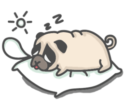 A Little Pug !!! sticker #11928752