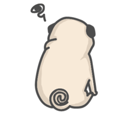 A Little Pug !!! sticker #11928755