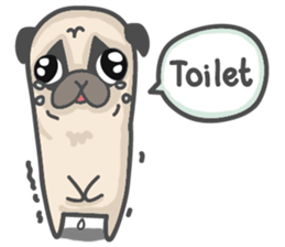 A Little Pug !!! sticker #11928759