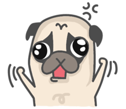 A Little Pug !!! sticker #11928761