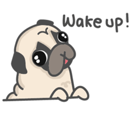 A Little Pug !!! sticker #11928762