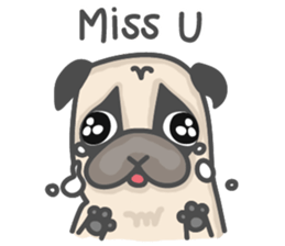 A Little Pug !!! sticker #11928765