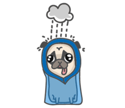A Little Pug !!! sticker #11928770