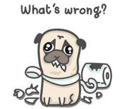 A Little Pug !!! sticker #11928772