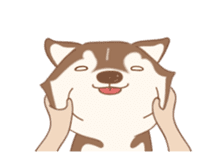 Taro Siberian Husky 1 (animated ver.) sticker #11929886