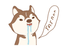 Taro Siberian Husky 1 (animated ver.) sticker #11929887