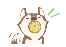 Taro Siberian Husky 1 (animated ver.) sticker #11929889