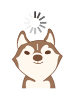 Taro Siberian Husky 1 (animated ver.) sticker #11929890