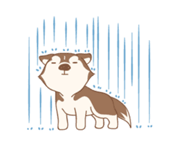Taro Siberian Husky 1 (animated ver.) sticker #11929893