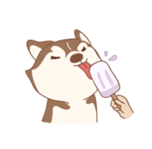 Taro Siberian Husky 1 (animated ver.) sticker #11929894