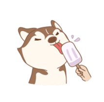 Taro Siberian Husky 1 (animated ver.) sticker #11929894
