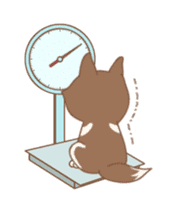 Taro Siberian Husky 1 (animated ver.) sticker #11929899