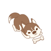 Taro Siberian Husky 1 (animated ver.) sticker #11929902