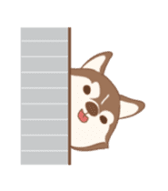Taro Siberian Husky 1 (animated ver.) sticker #11929903