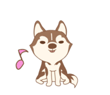 Taro Siberian Husky 1 (animated ver.) sticker #11929906