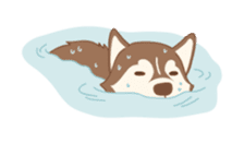 Taro Siberian Husky 1 (animated ver.) sticker #11929907