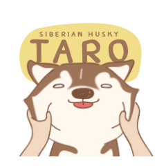 Taro Siberian Husky 1 (animated ver.)