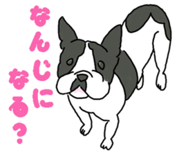 Tono is French Bulldog.vol.2 sticker #11930033