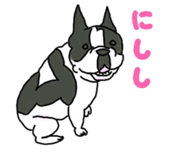 Tono is French Bulldog.vol.2 sticker #11930042