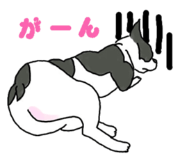 Tono is French Bulldog.vol.2 sticker #11930043