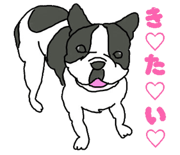 Tono is French Bulldog.vol.2 sticker #11930058