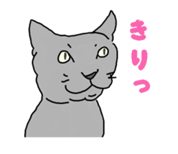 Tono is French Bulldog.vol.2 sticker #11930061