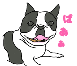 Tono is French Bulldog.vol.2 sticker #11930069