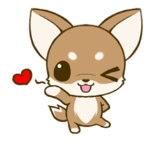 Chihuahua tan sticker #11930308