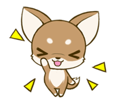 Chihuahua tan sticker #11930311