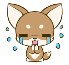 Chihuahua tan sticker #11930325