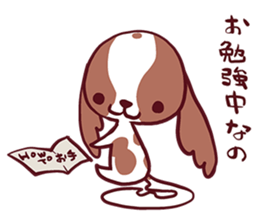 CavalierSticker_3 sticker #11931035